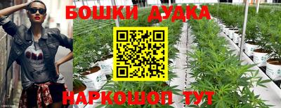 дживик Ирбит