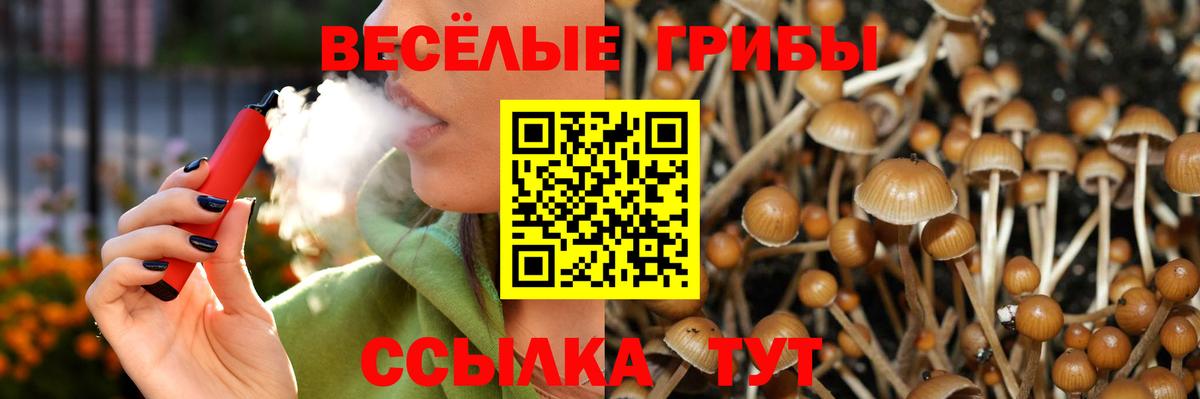Галлюциногенные грибы Cubensis Королёв